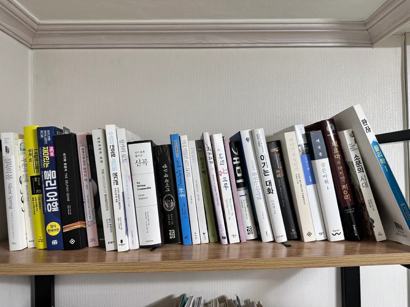 책장 정리 중고책 권당 5000원