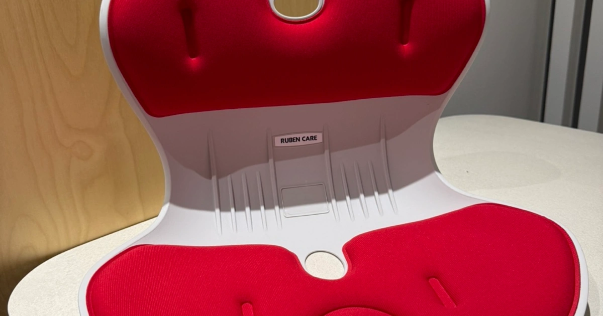 로이첸 루벤케어 체어, 의자 허리 받침대 | 지축동 | 생활/주방 | 당근 중고거래