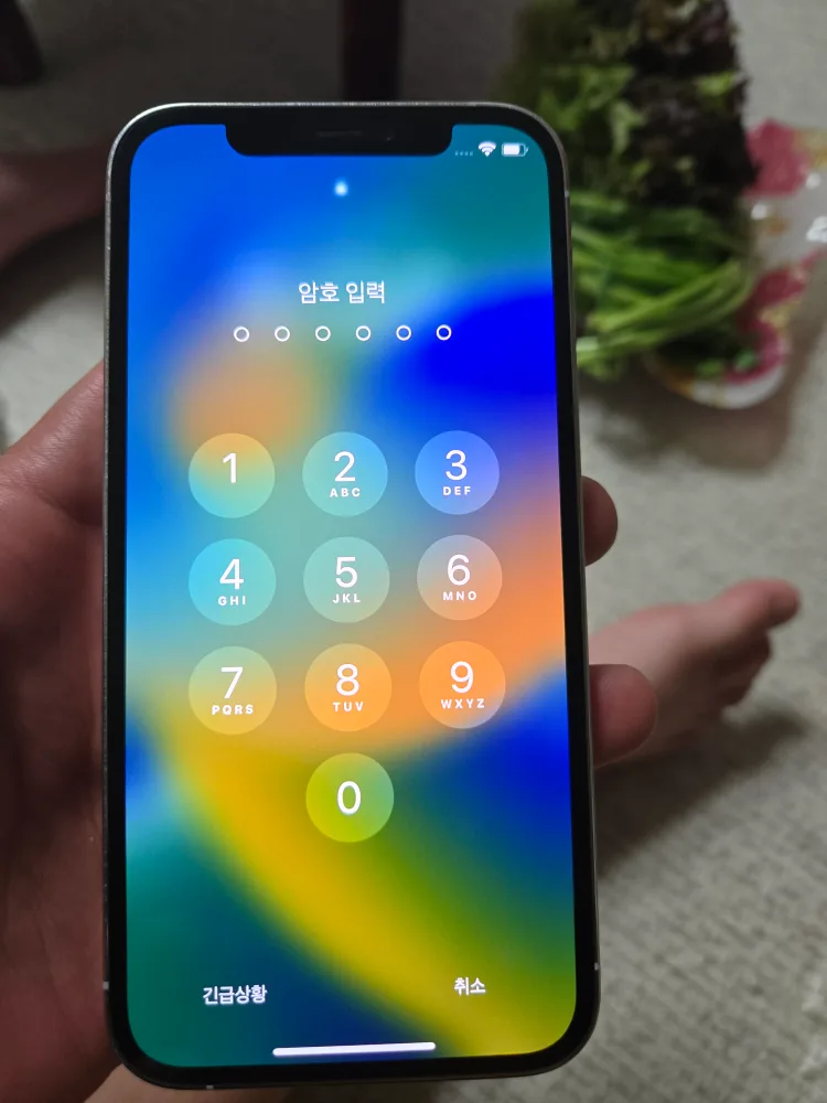 아이폰12프로 256기가(중고)