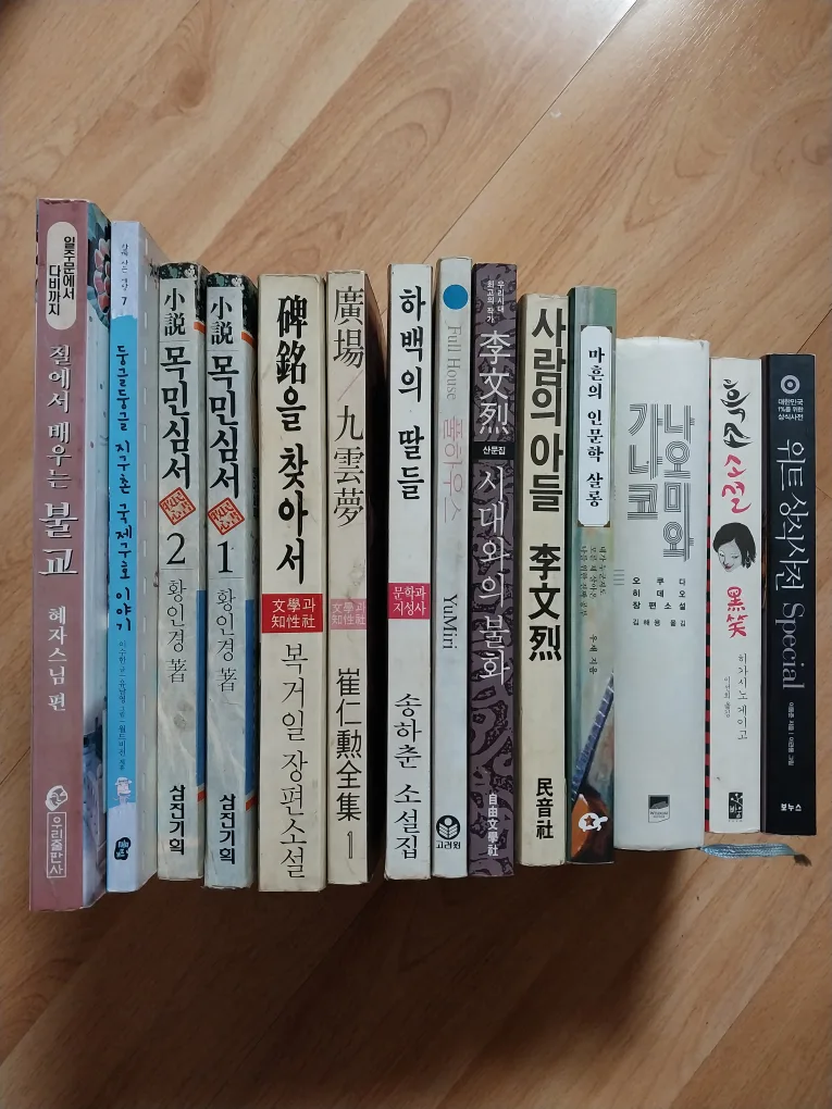 중고 책 (소설, 사회과학 등)