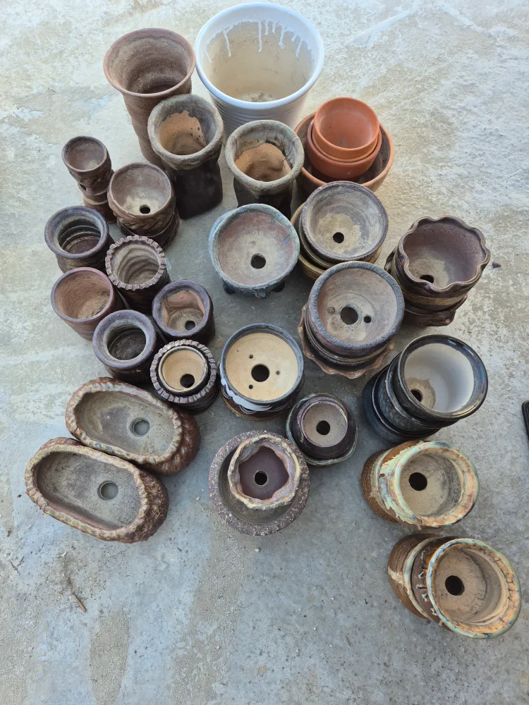 중고화분 팔아요