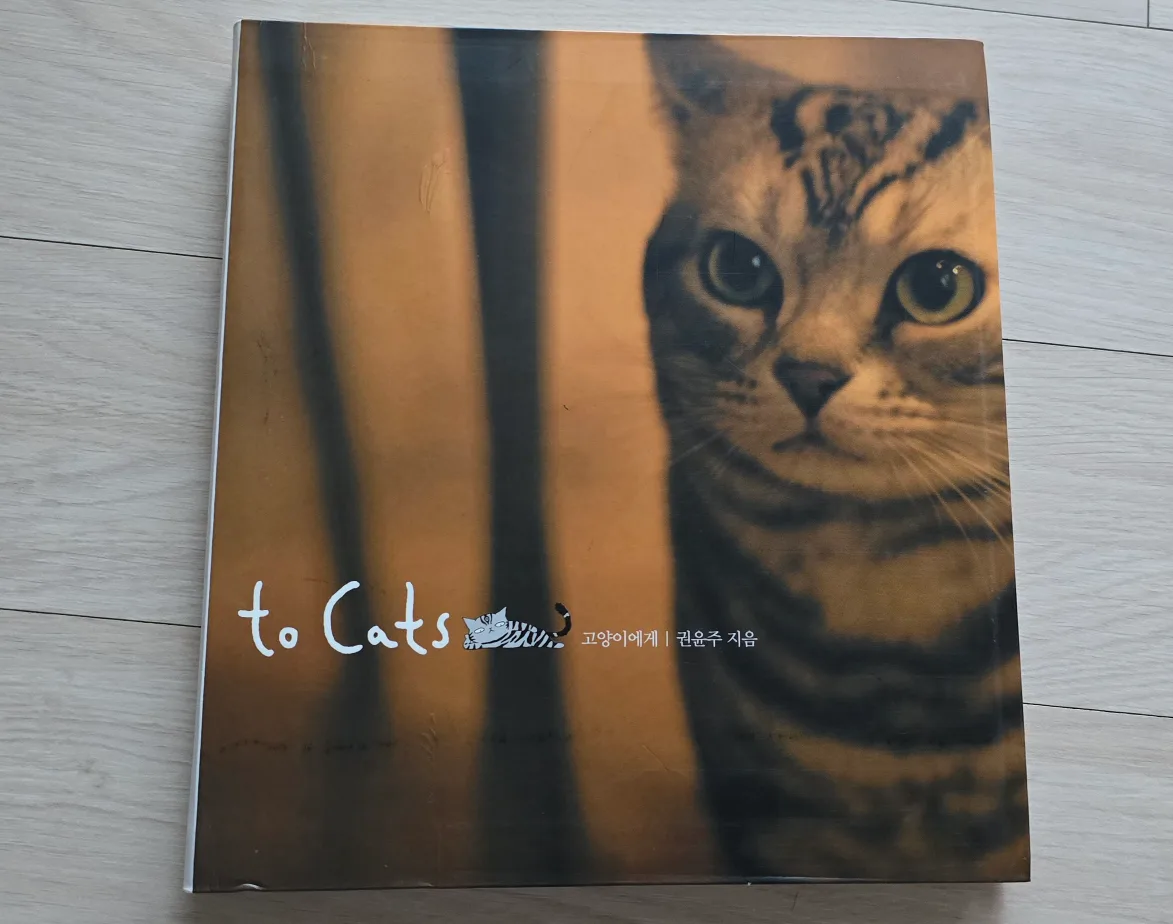 중고책 스노우캣 to cats