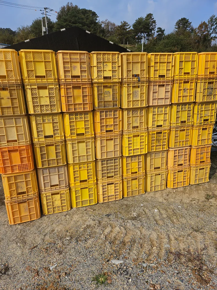 중고콘티박스 팝니다