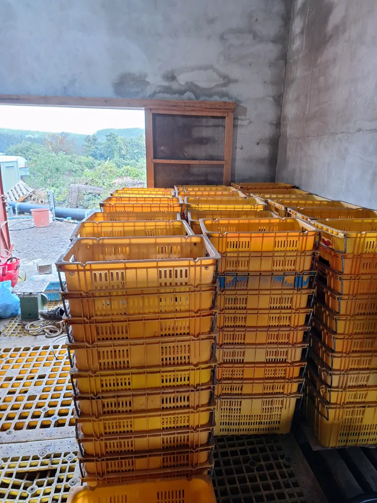 중고 콘테나 팝니다