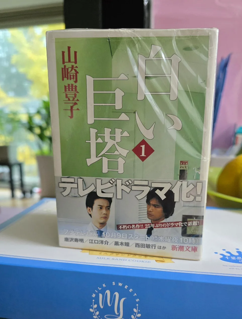 일본어 TV판 《하얀거탑》 중고서적입니다.