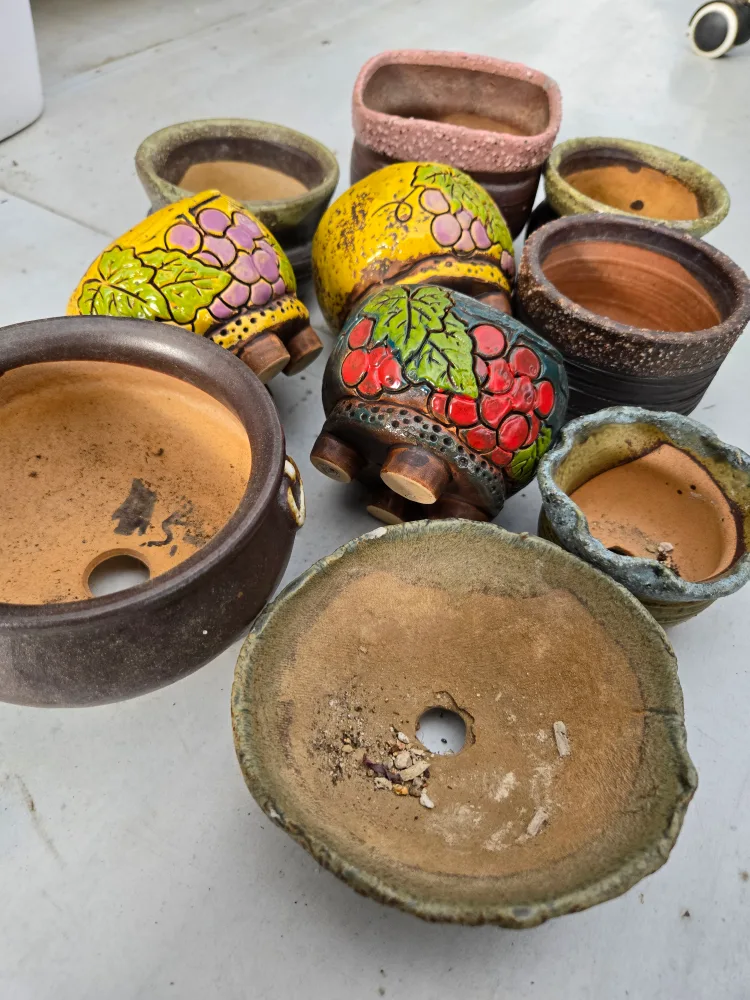 중고 다육이화분