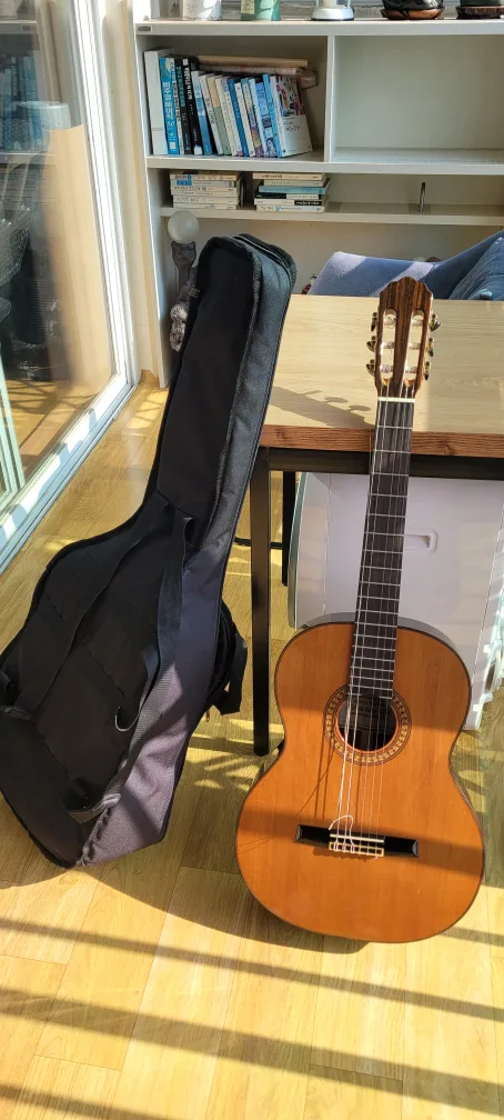 김정국 수제기타 40호 중고 판매