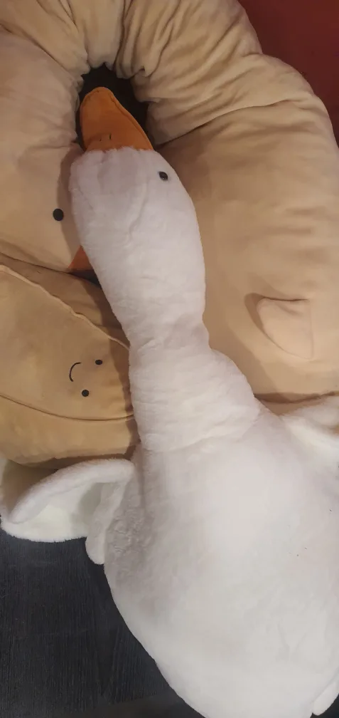 인형 무료나눔