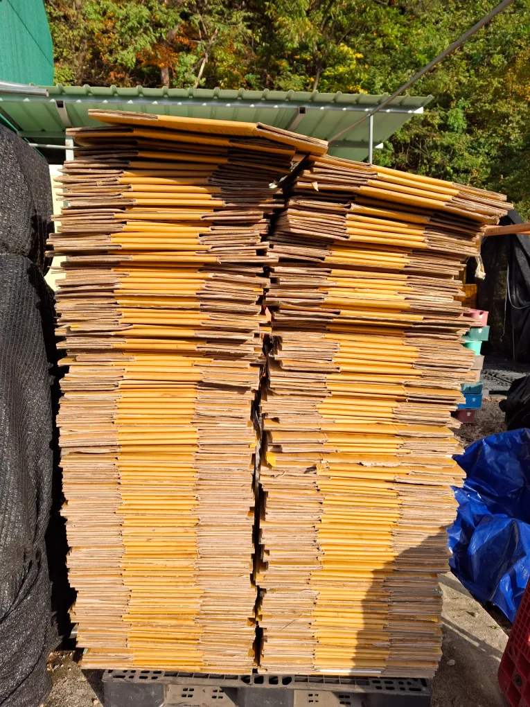 생감 중고박스 팝니다