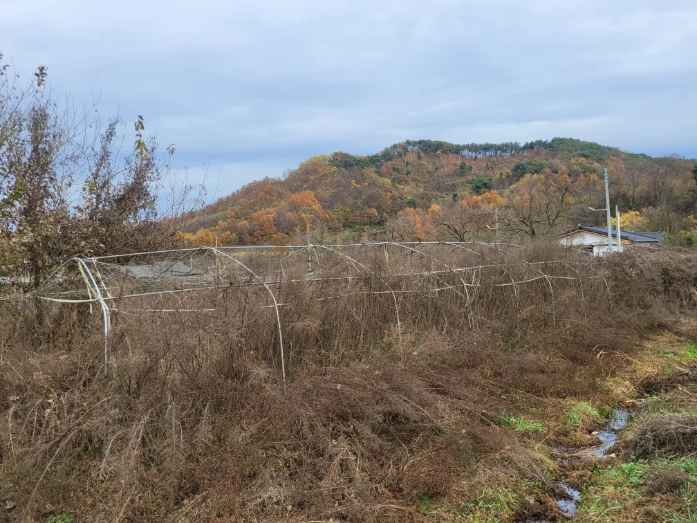 중고하우스파이프 철거해가실분