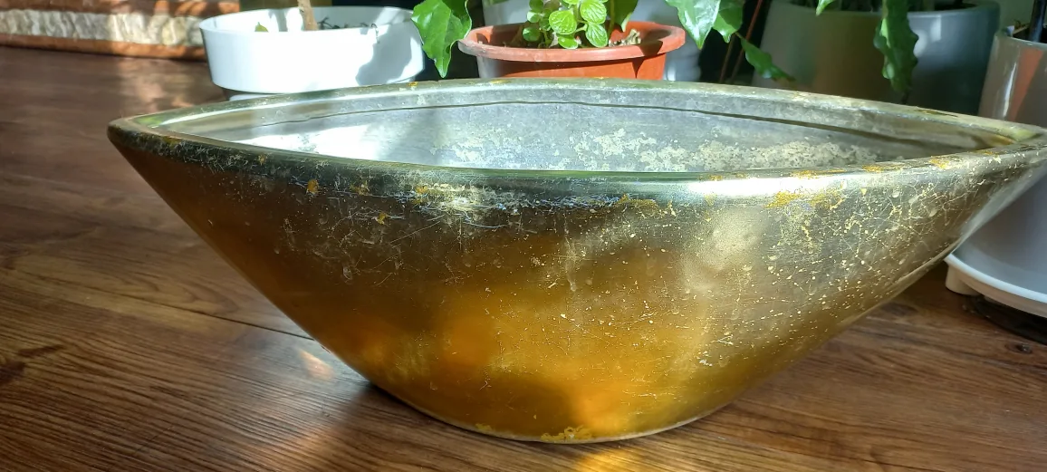 황금색 화분(중고)