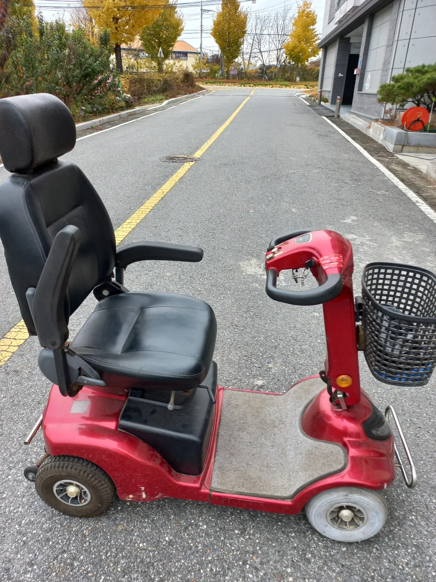 전동차(전기스쿠터)