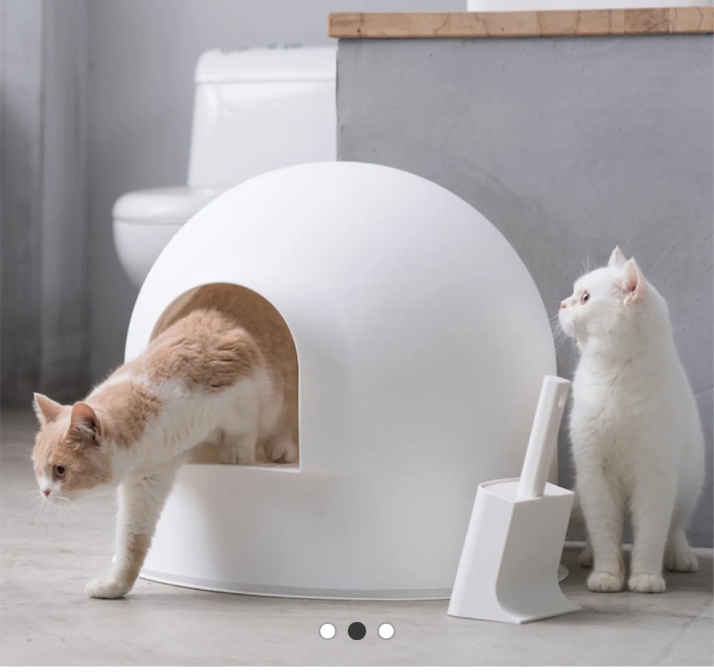 중고) 고양이 이글루 화장실