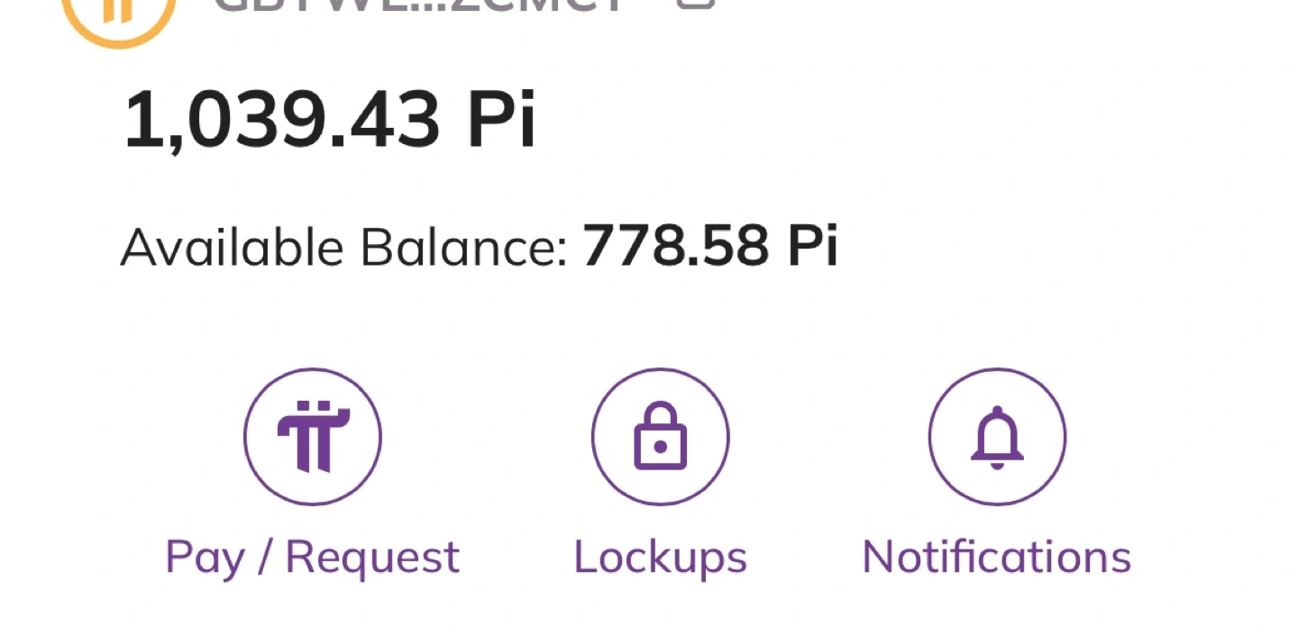 pi 코인 팝니다 | 기타 중고물품 | 당근 중고거래