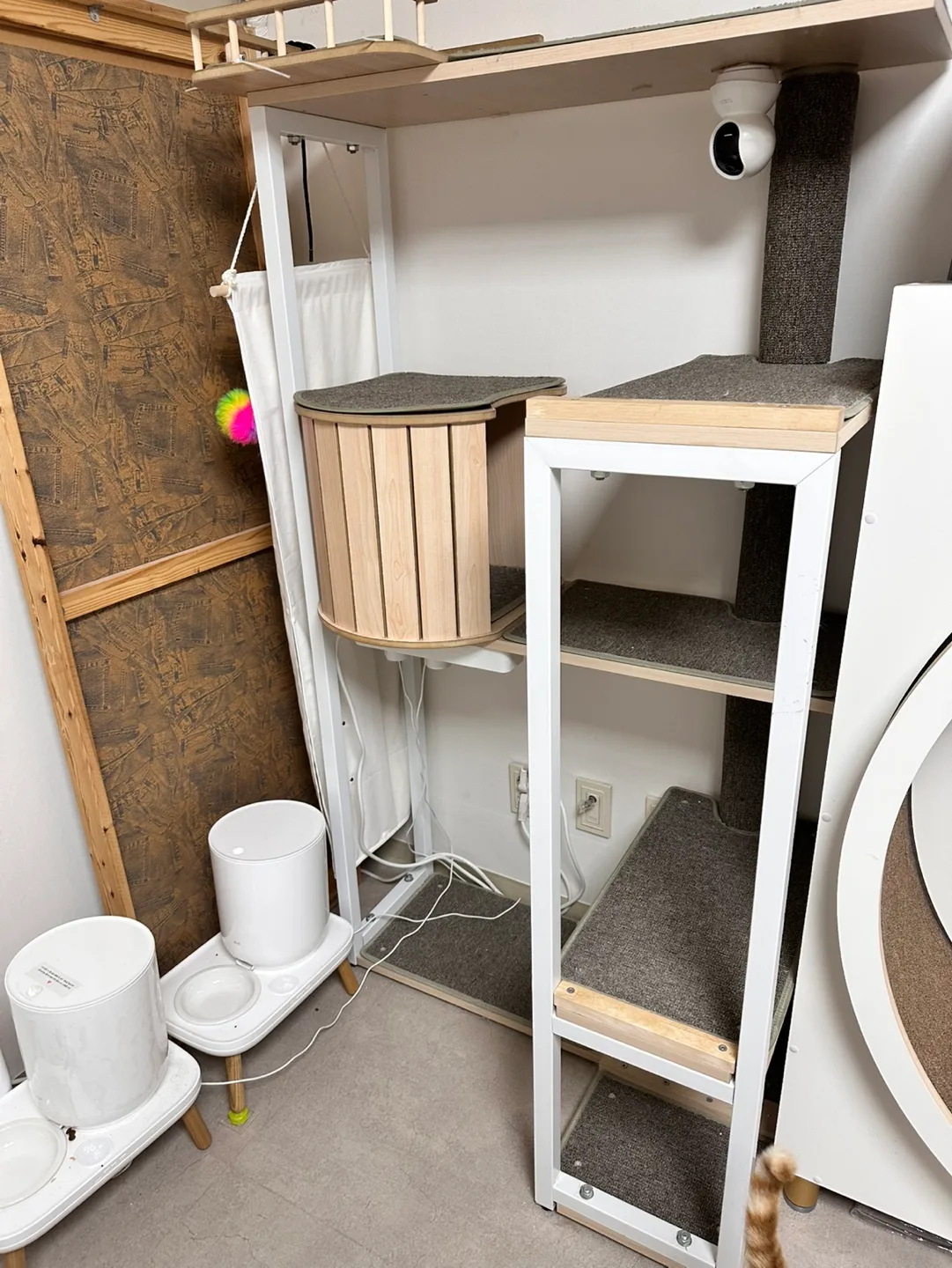 bpf 캣타워 뚱냥이 완전가능