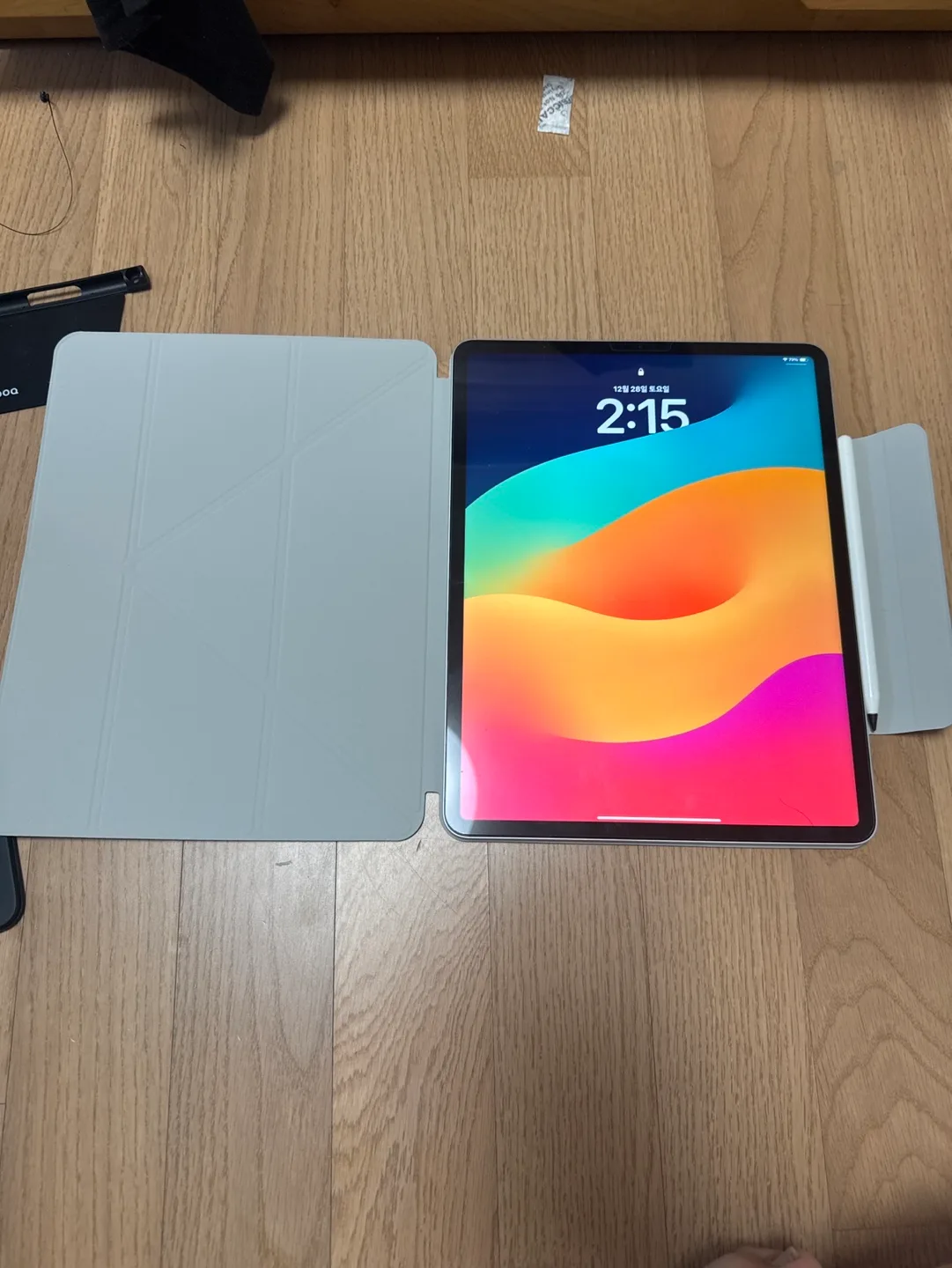 아이패드 프로 M2 12.9인치