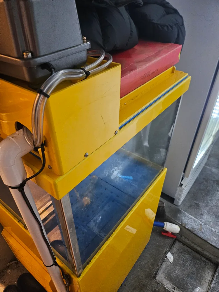 수족관 600×600 중고 팝니다