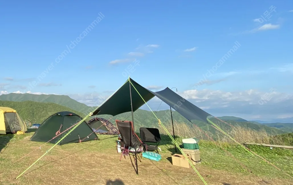 힐레베르그 타프 10XP 그린