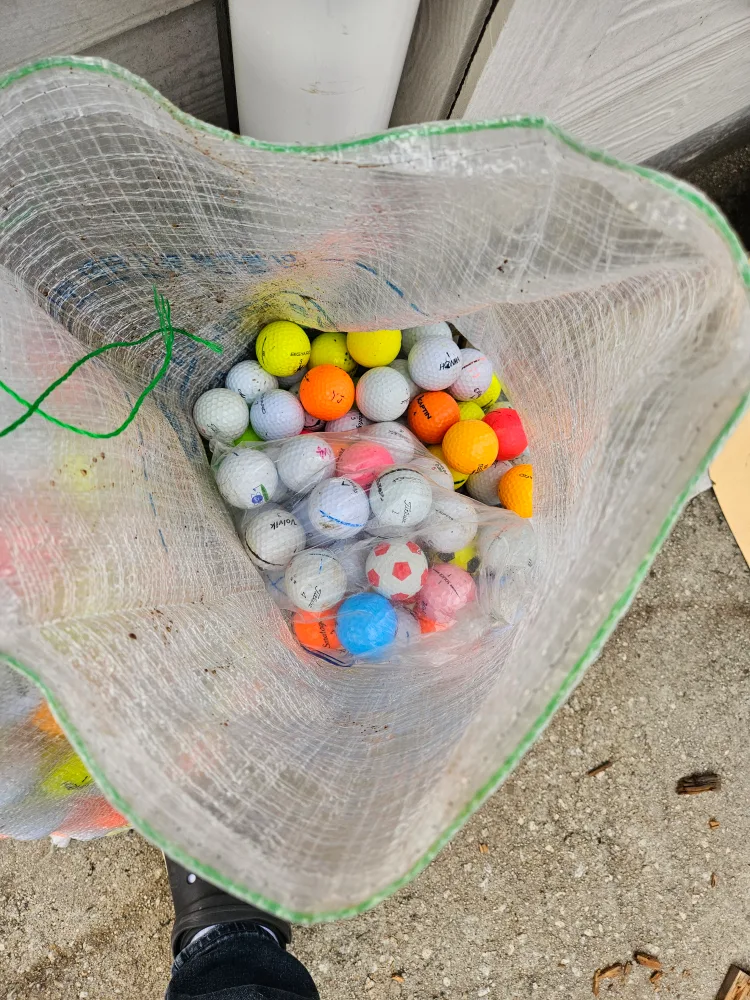 중고 골프공팝니다