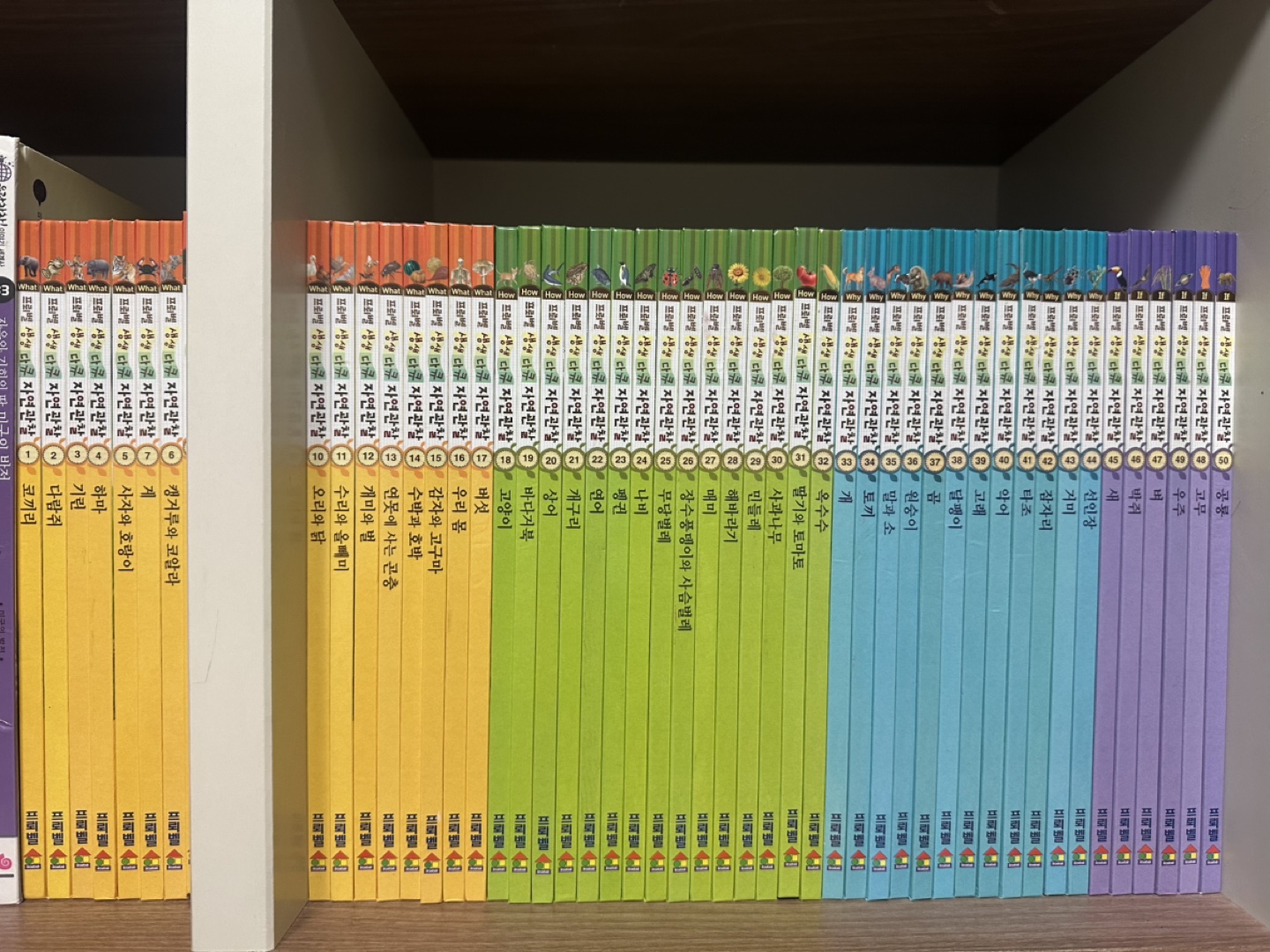 웅진)마술피리그림책꼬마 80권