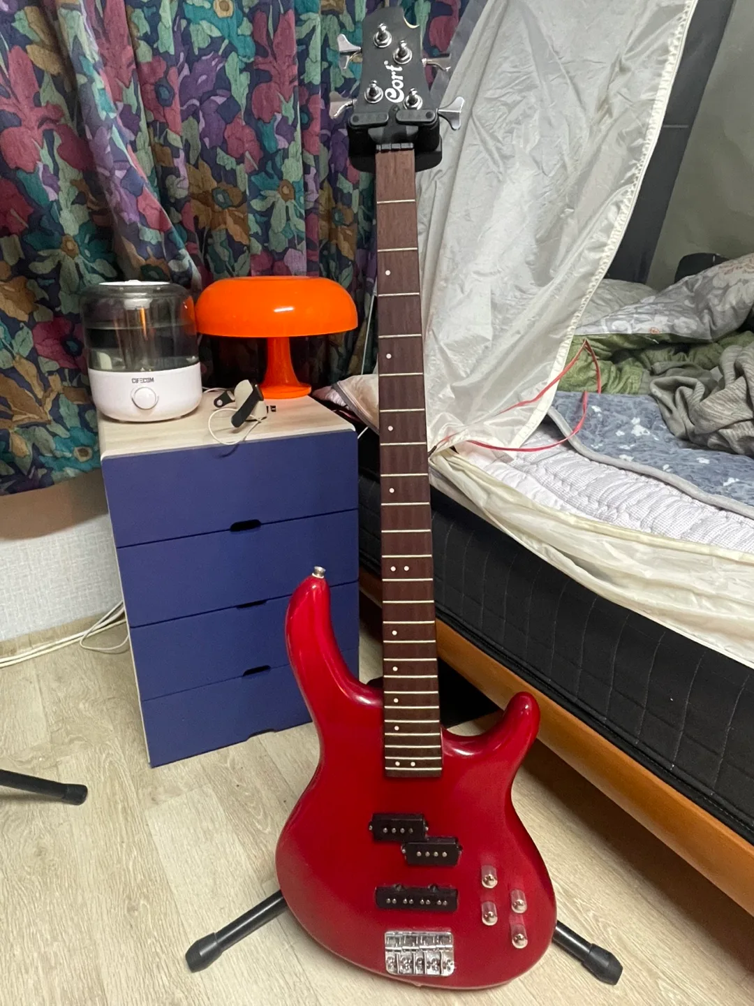 베이스기타 [가격 최종]