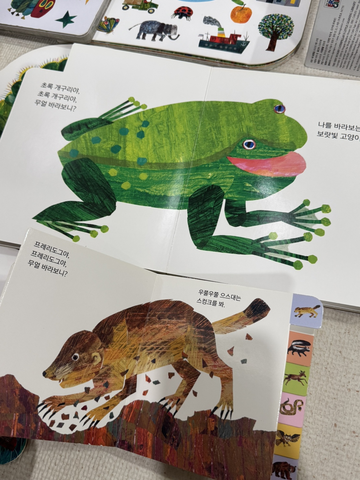 녹색 개구리 에릭 칼