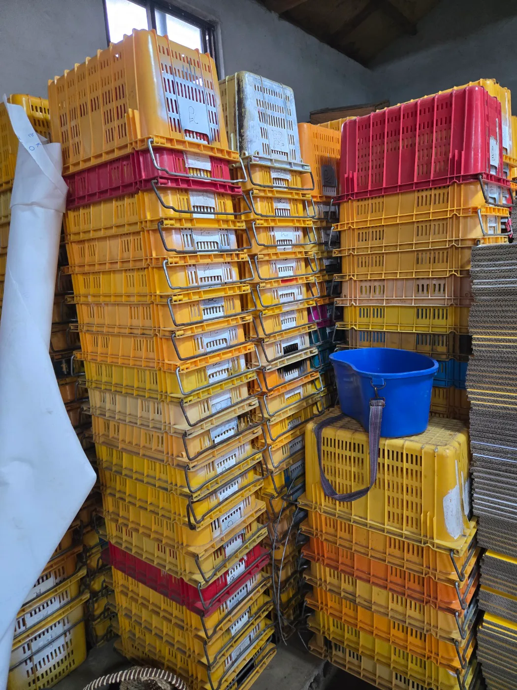 중고 콘테나 팝니다