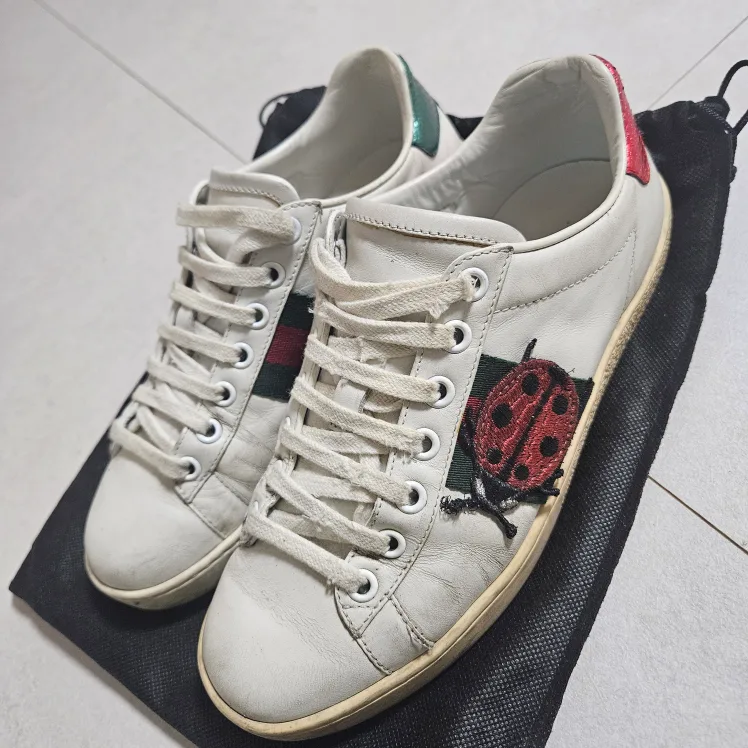 구찌 스니커즈 중고 팔아요