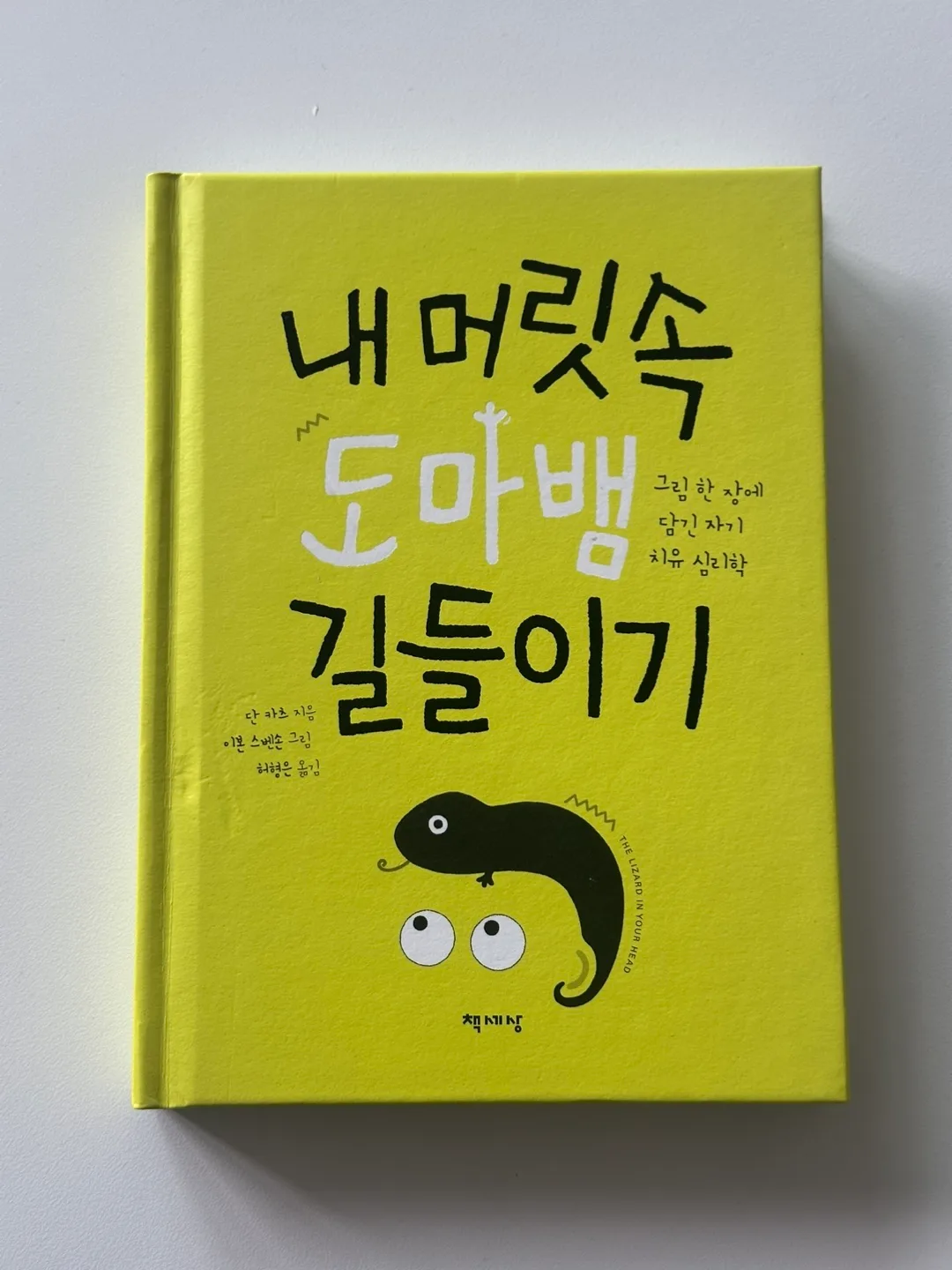 [중고] 내 머릿속 도마뱀 길들이기