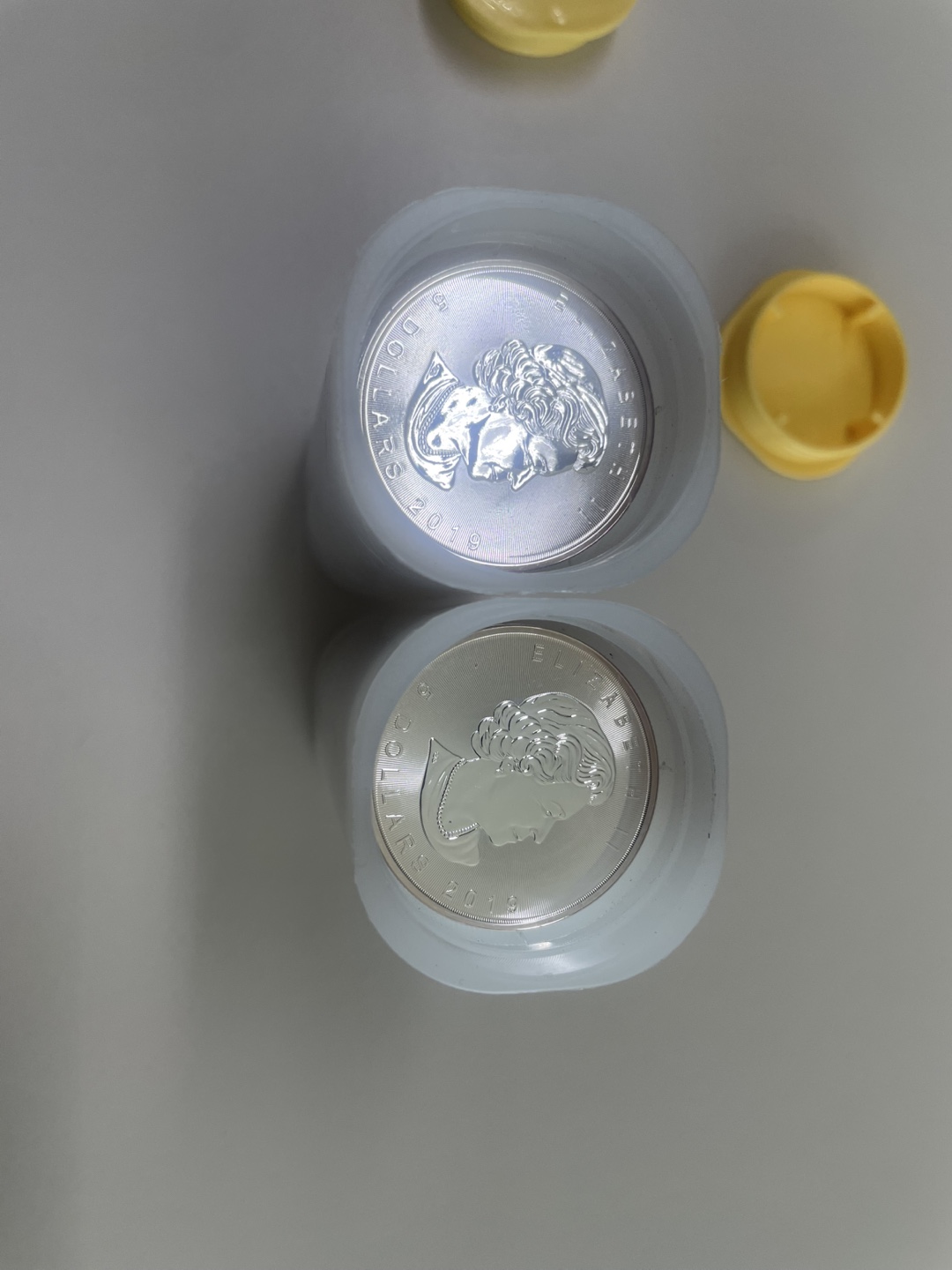 캐나다 메이플 코인 튜브 팝니다. 실버, 은화