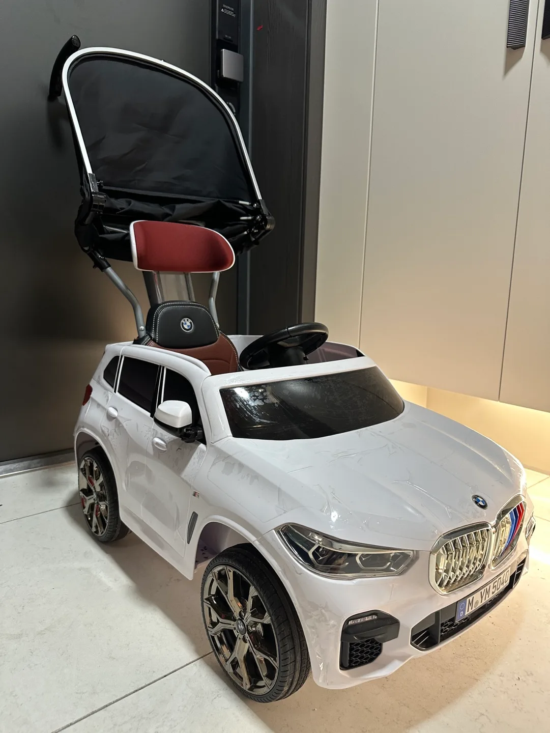 파파야나인 푸쉬카 BMW