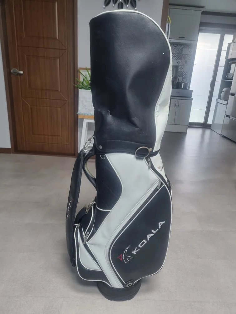 중고골프체 팝니다