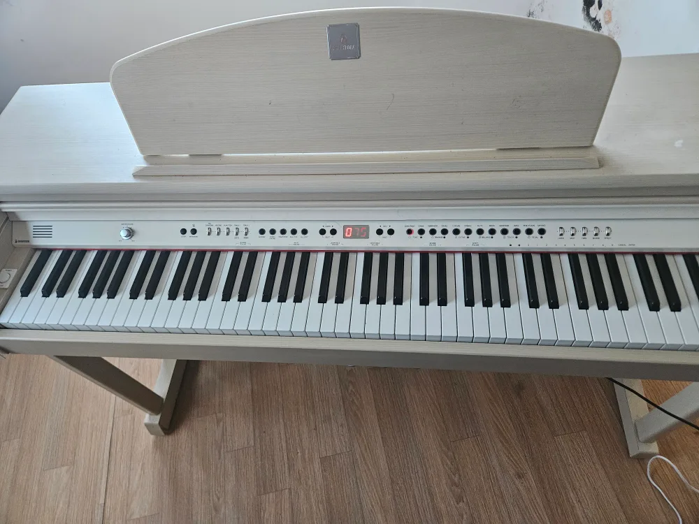 전자피아노 나눔해요