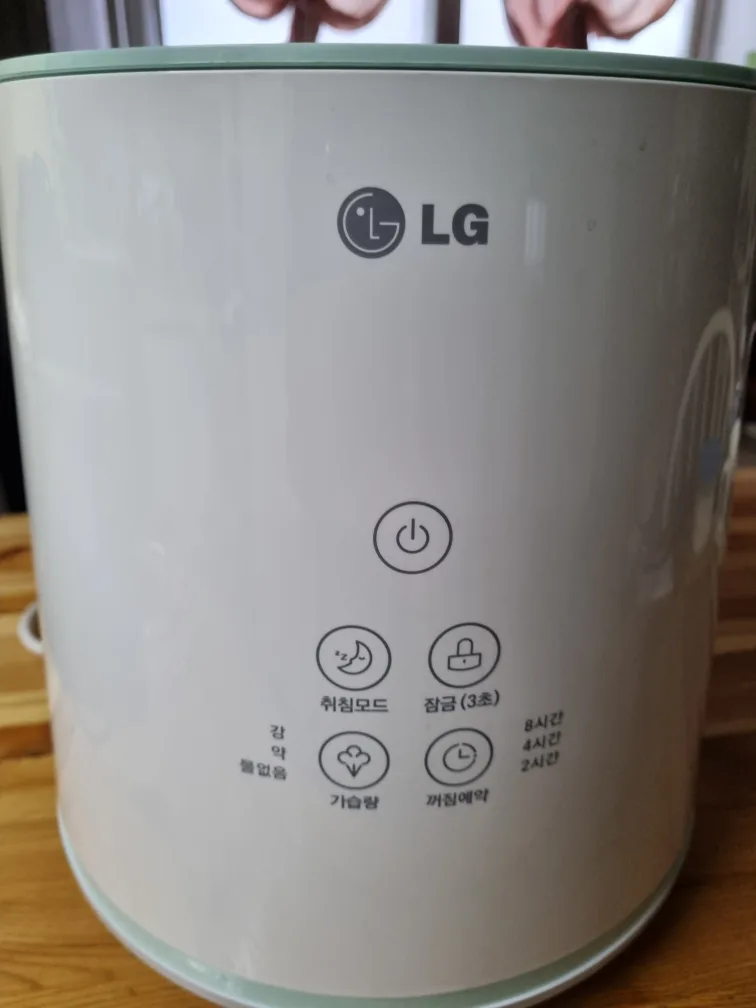 LG스팀가습기