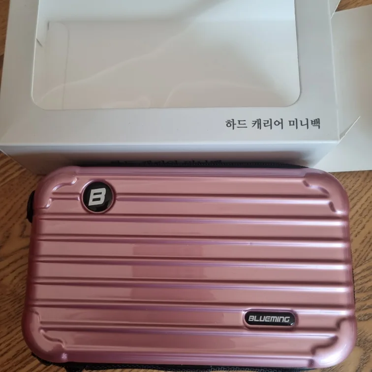 미니 백