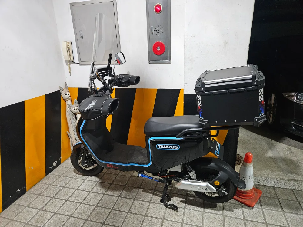 타우러스ES 듀얼 60v 팝니다.