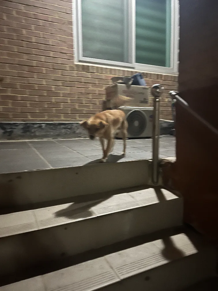 외야글러브 중고 구매합니다~~