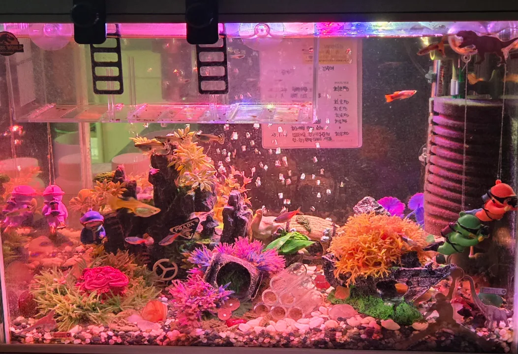 중고어항 1자반 광폭 (가로45, 높이 30, 너비 35)