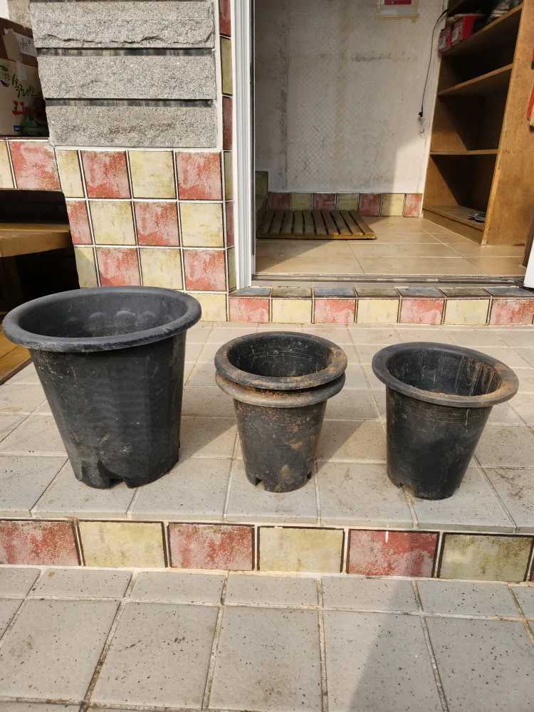 중고 플라스틱 빈화분 삽니다~