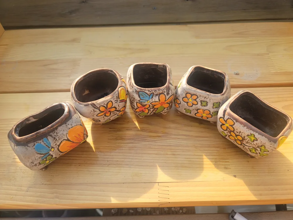 중고콩분5종입니다