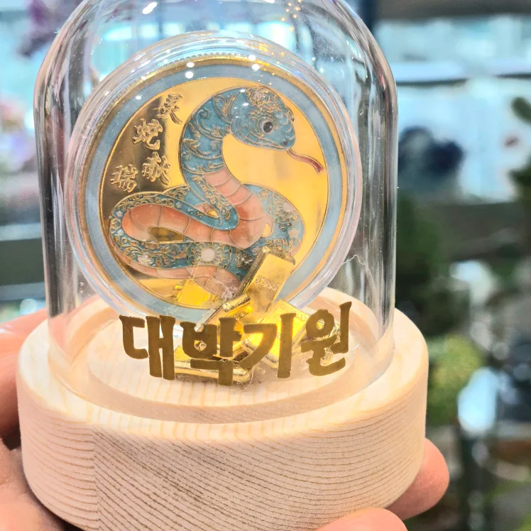 뱀띠해 대박 기원 코인 미니골드바 유리돔