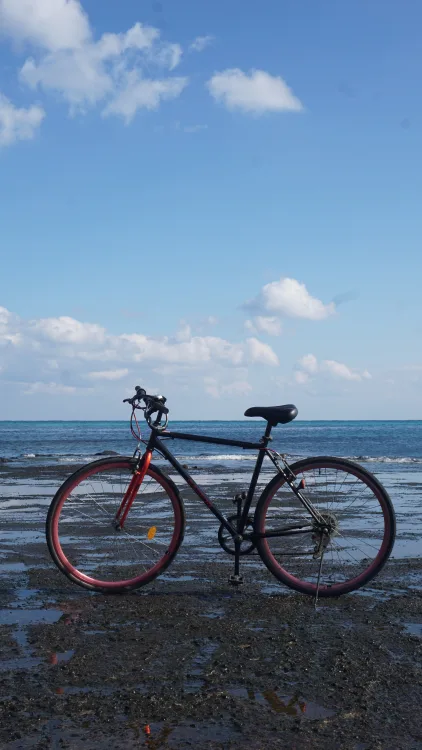 700C 자전거 팝니다!!