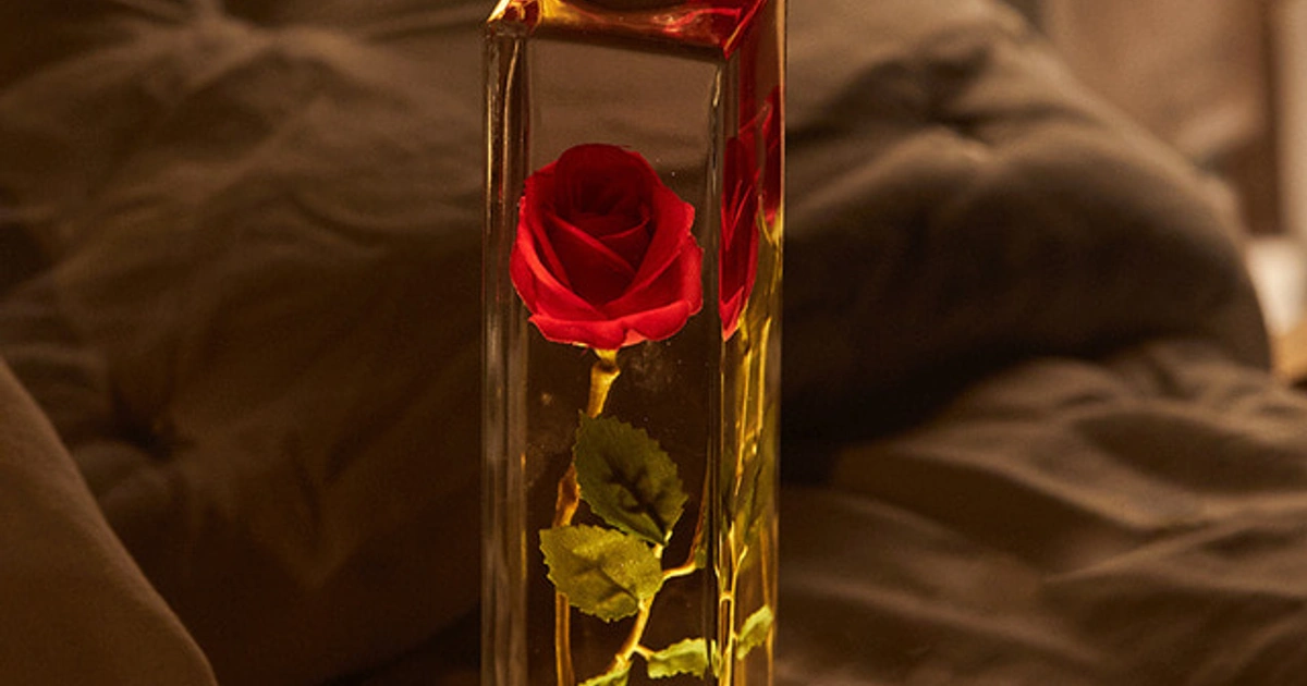 리비트 생화 장미 디퓨저 무드등(쇼핑백 선물박스 풀박) | 내동 | 가구/인테리어 | 당근 중고거래