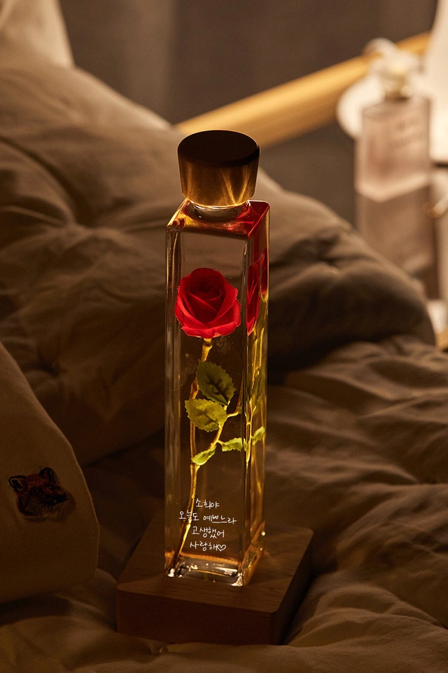 리비트 생화 장미 디퓨저 무드등(쇼핑백 선물박스 풀박) | 내동 | 가구/인테리어 | 당근 중고거래