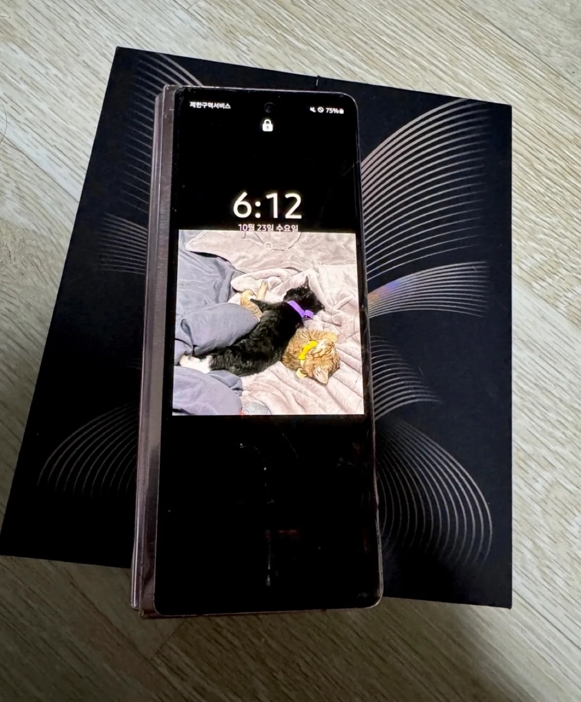 갤럭시 폴드2 256기가 (13미니 교환가능)