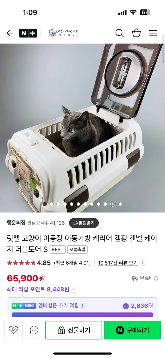 케이지, 이동장, 이동가방, 캐리어 (상태 새것같이 좋음)