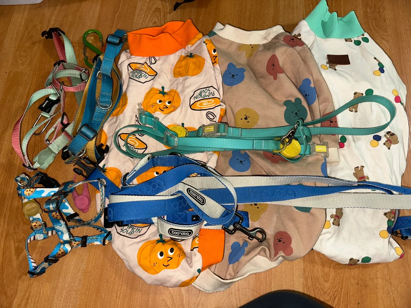 강아지 중고 물품 (중형견/10키로대)