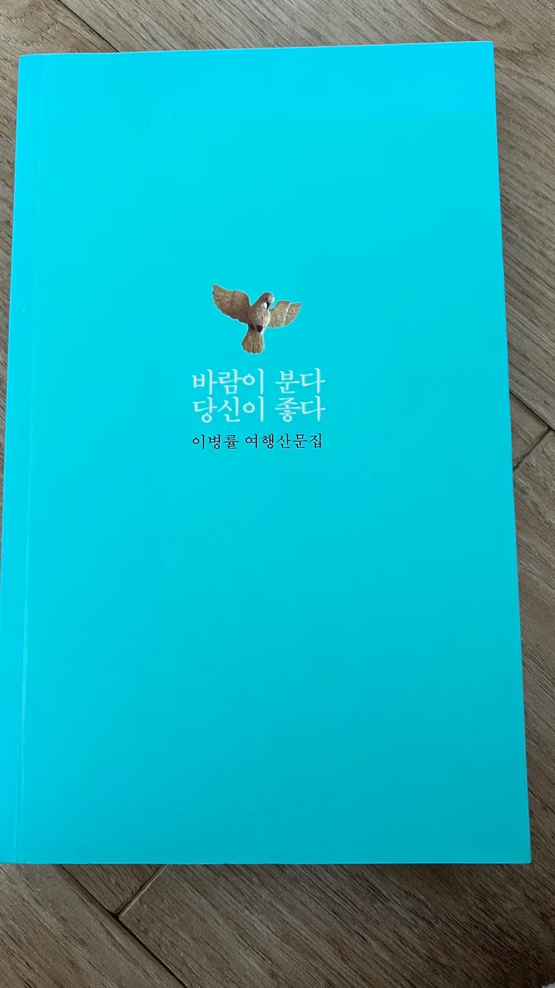 바람이 불다 당신이 좋다(중고책)