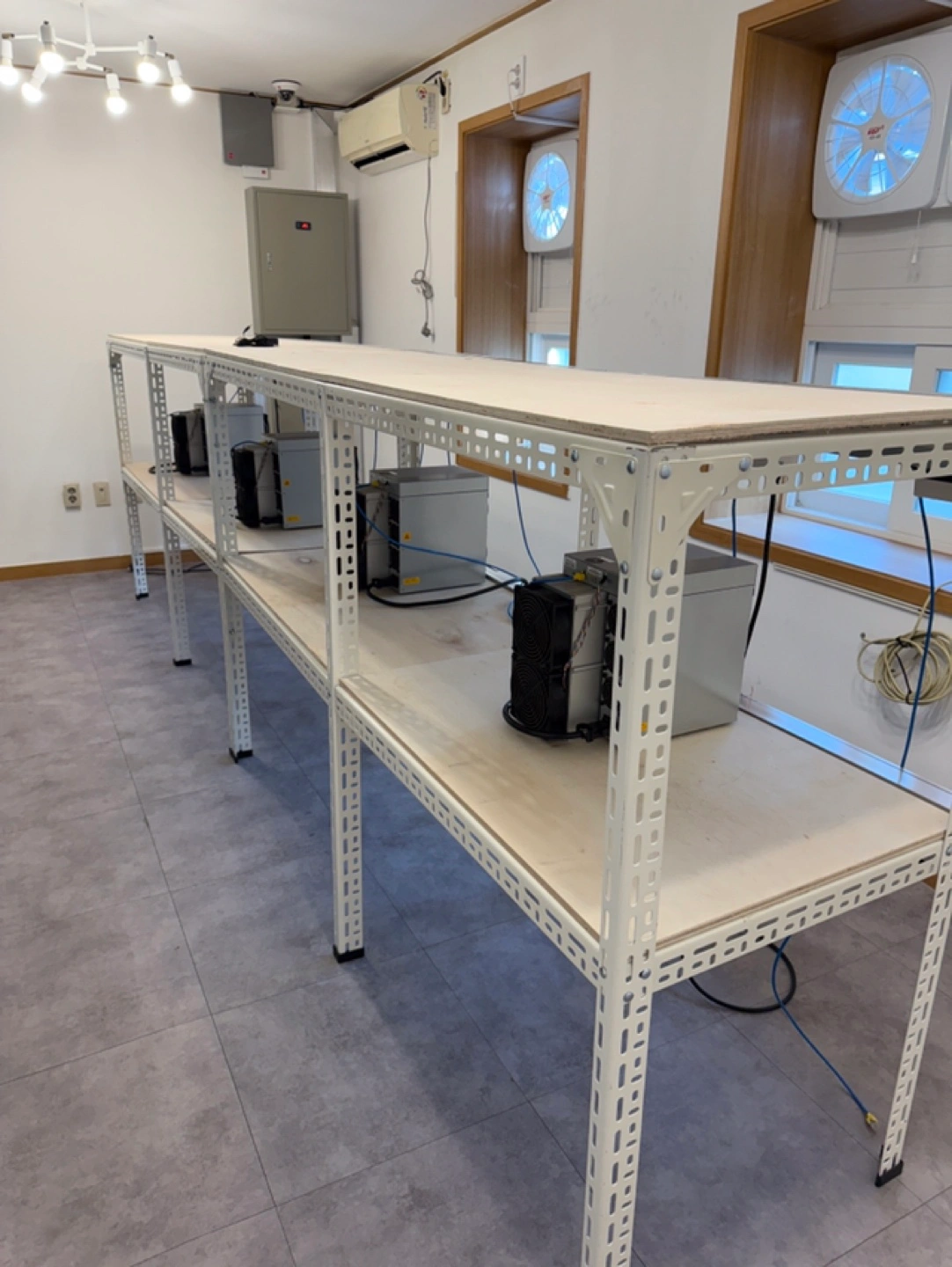 L9 도지코인 라이트코인 채굴기 판매합니다 | 디지털기기 | 당근 중고거래