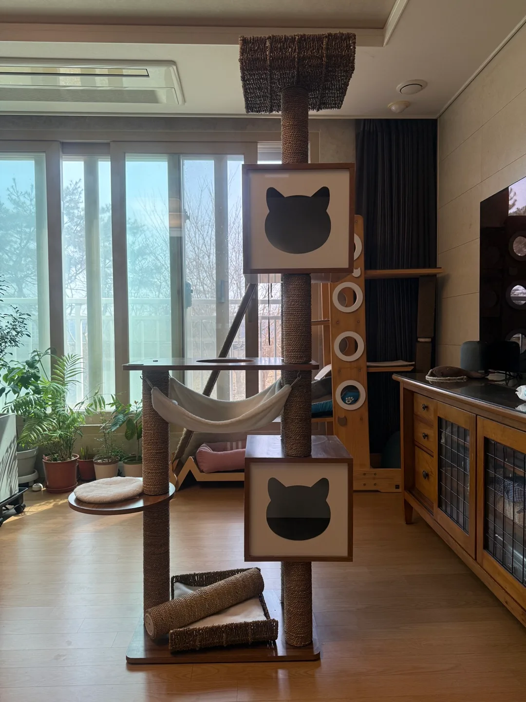 캣타워 저렴하게 가져가실 분